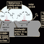 coroziunea ca proces electrochimic