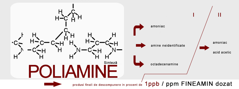 sinteza poliamine